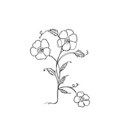 continuous line drawing flowers and leaves