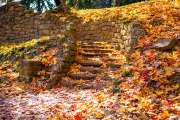 autumn leaves on a stone straircase