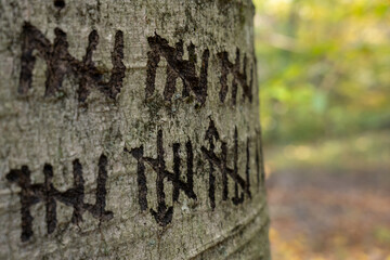 old tree trunk with carvings