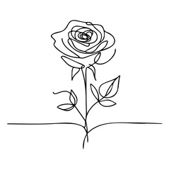 Continuous Line Drawing, Black on White, Rose Sketch