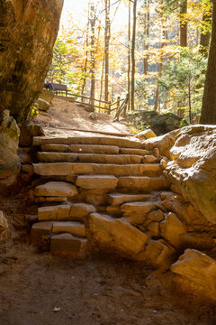 old stairs in the woods