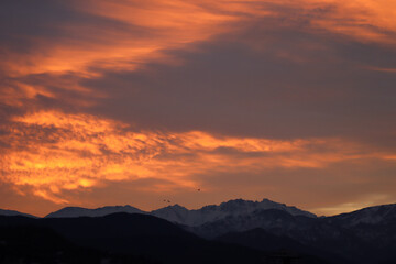 Sunrise, snowy mountains, birds, landscape