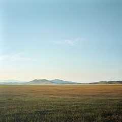 Obraz premium the sunset paints wheat fields beneath a cloudy sky image