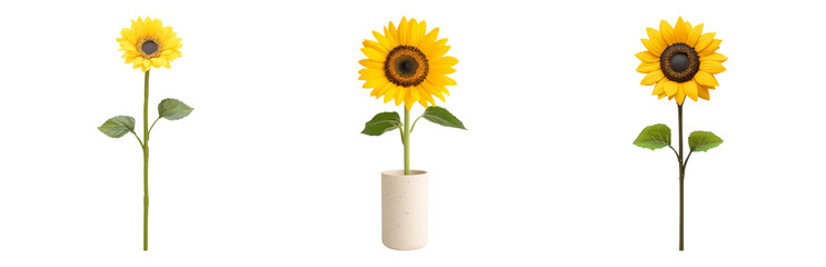 Obraz premium Bright Sunflowers in Simple Vase Design Isolated on transparent background