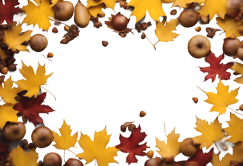 flower border leaves abstract banner cut pear nature autumn oak leaf orange frame fall card element yellow background concept layout decoration holiday acorns colourful maple isolated red flier