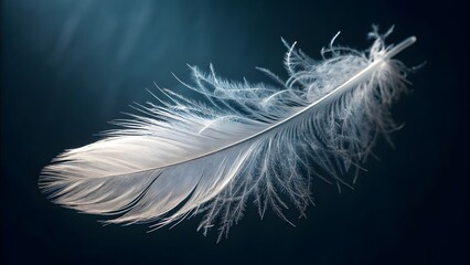 Obraz premium A close-up, macro photograph of a single, delicate white feather floating against a dark background