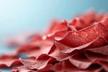Bright red petals create a soft and delicate arrangement against a serene blue background