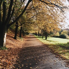 Naklejka premium picturesque autumn pathway filled with a symphony of warm colors image
