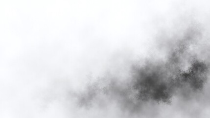 Fototapeta premium A misty scene with a grilled fish in the foreground.