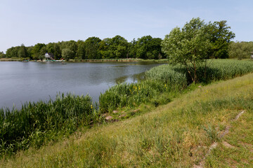Jezioro Paprocany, Tychy