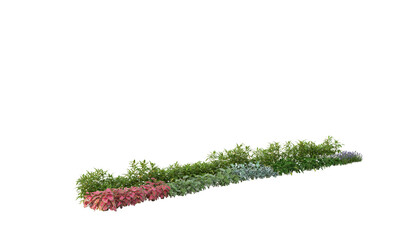 3d rendering of flowers, plants and flowers. green grass isolated on white