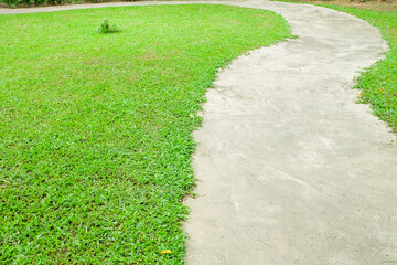Garden landscape design with pathway in garden and footpath in picturesque summer park and staircase in backyard,Paving stones on floor in park,space for text.