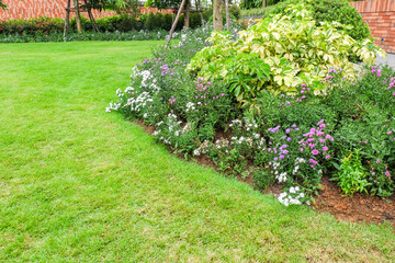 Multi-colored flower bed in the park,cute colorful in backyard,Lots of beautiful summer flowers,Lush bright flowering in the garden,Multicolor blooming,Outdoor summer gardening,space for text.