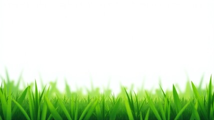 Obraz premium Lush green grass stretches across the foreground.
