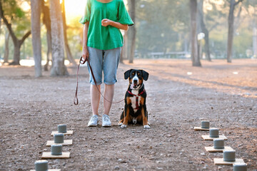 An Entlebucher dog in a red harness sits beside a woman holding its leash during obedience and nose...