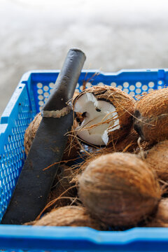 Coconut copra