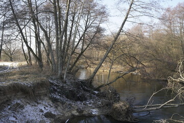 Trees along the banks of the Isloch River. Winter, February. A fine sunny day. Bright light.