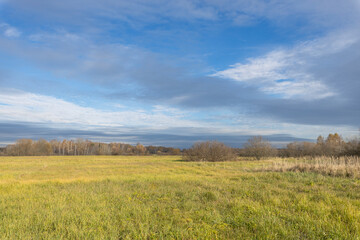 A field of grass with a blue sky in the background