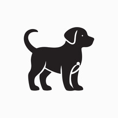 black labrador retriever dog