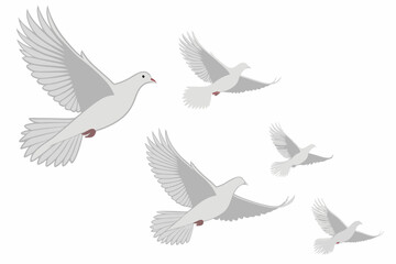 Obraz premium A group of doves flying in the sky, Graceful White Doves in Flight - Symbol of Peace and Freedom.