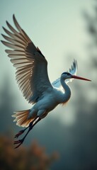 Fototapeta premium A majestic white heron in flight, showcasing elegance and grace against a serene background. Perfect for nature, wildlife, or environmental themes.
