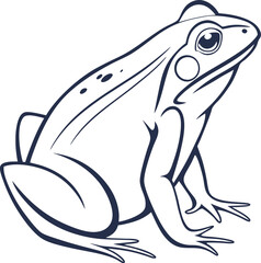 frog on a white background