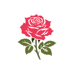 Rose Illustration Vector With White Background.