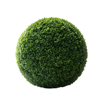 Artificial Boxwood Sphere - Green Decorative Ball