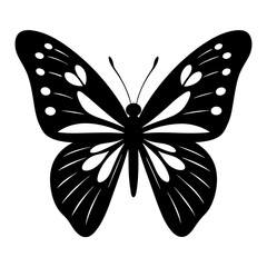 A butterfly silhoutte illustration on white background.