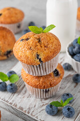 Delicious blueberry muffins on a wooden board on a gray concrete background with a bottle of milk, fresh berries and mint leaves.