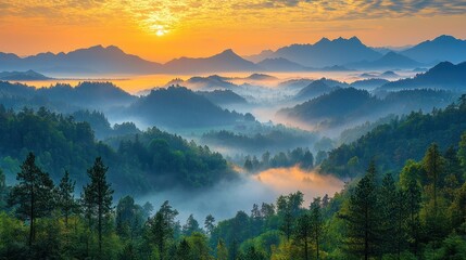 Sunrise over misty mountain valley, scenic view