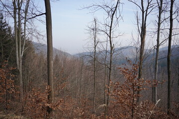 Góry Bardzkie, Polska © Strumyk