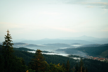 mountains in the fog