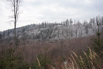 Góry Bardzkie, Polska © Strumyk