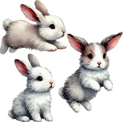 Rabbits in watercolor style. Easter bunny. set of fluffy bunnies