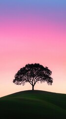 Obraz premium Majestic Tree Silhouette Against Vibrant Twilight Sky Gradient