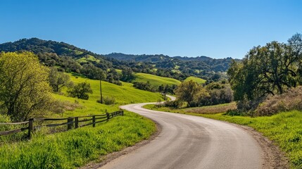 Naklejka premium A peaceful countryside road curving through vibrant green hills under a clear, sunny sky.