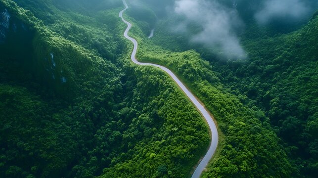 Winding mountain road, aerial view of lush green landscape with misty clouds, serene nature scene inviting adventure. - Powered by Adobe