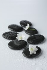 Wet spa stones and beautiful flowers on white background, closeup