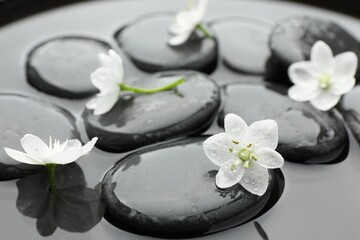 Spa stones and flowers in water, closeup