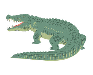Green crocodile. Large reptile predator with a toothy jaw. Nature and fauna. Wildlife, animals and zoology. Vector illustration isolated on white background