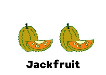  illustration of jackfruit
