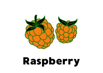  illustration of raspberry