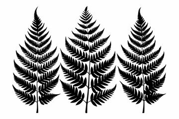 Obraz premium 3 fern leaf line art silhouette vector illustration
