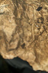 Pollution avec des déchets dans la nature