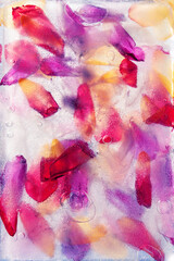 Kwiatowe tło, tulipany w lodzie, mrożone kwiaty, tapeta.  © Elżbieta Kaps