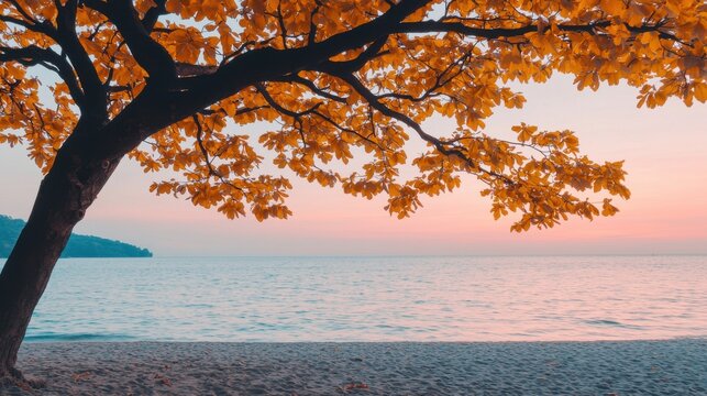 Serene autumn sunset by the beach coastal landscape photography tranquil environment scenic viewpoint nature concept