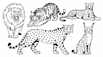 Hand-Drawn Illustrations of Wild Cats, Lion, Tiger, Leopard, and Lynx