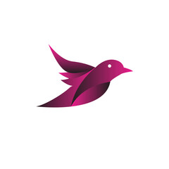  Bird logo design, bird icon, birds symbol, Eagle logo, Flying bird logos, Creative abstract bird logo, Falcon wings, birds logo,