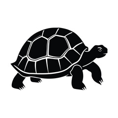 turtle black silhouette vector illustration